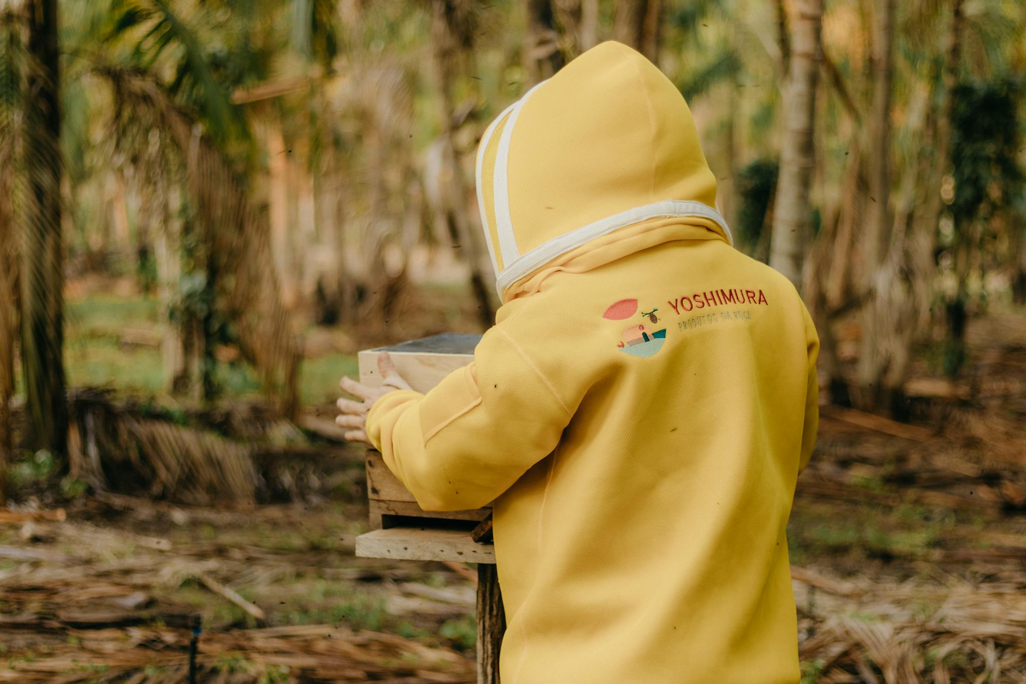 Beekeeper wearing yellow protective clothing tending a beehive in a forest setting.