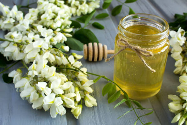 Honey and acacia flowers on the gray wooden background. close up.